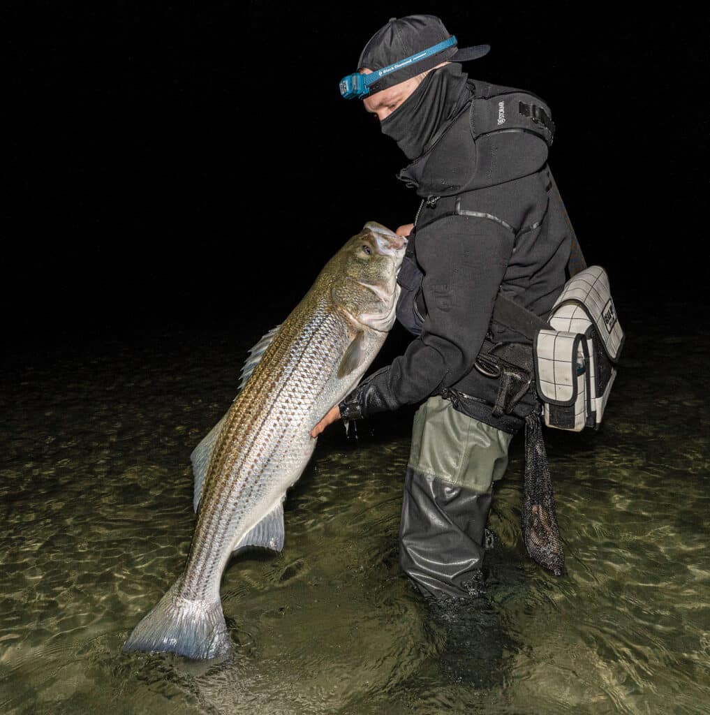 Striped bass caught at night