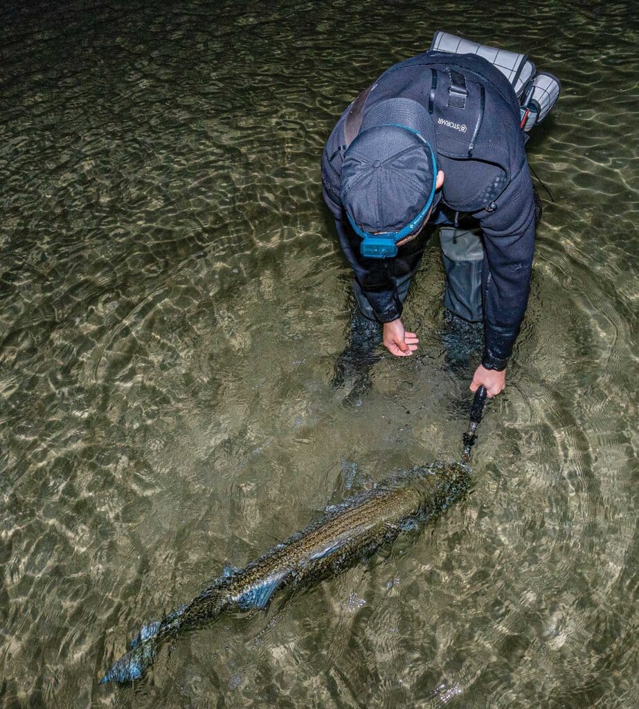 Releasing a large fish