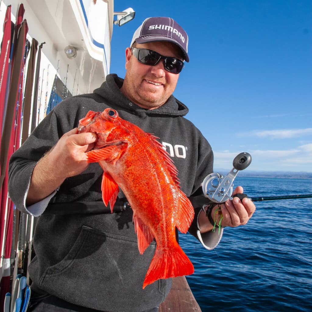 California rockfish