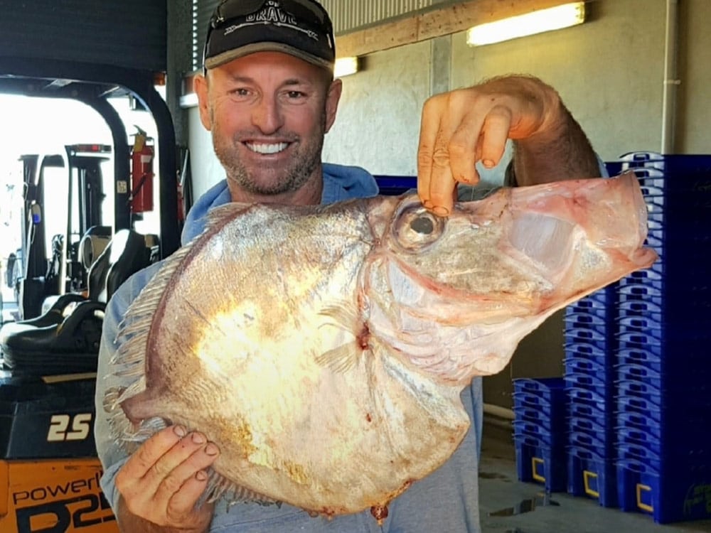 John dory fish