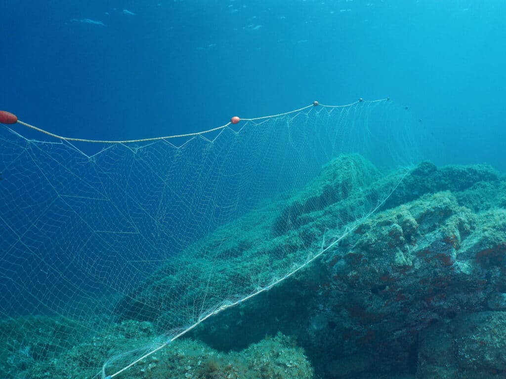 Gillnet underwater