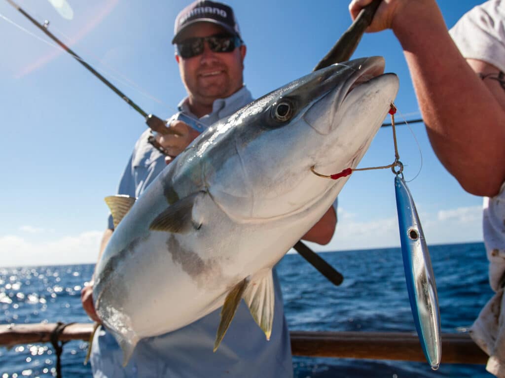 yellowtail caught on jig