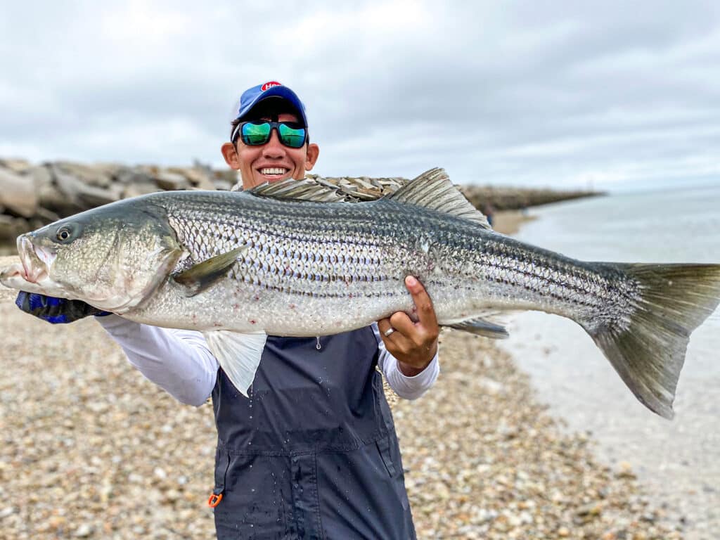 Going Soft: For Striped Bass - The Fisherman