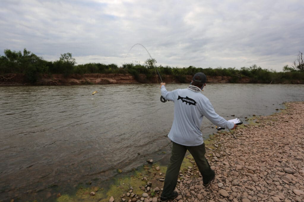 Danylchuk hooked up to a Golden Dorado