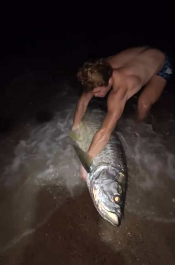 Hans Brings landing tarpon