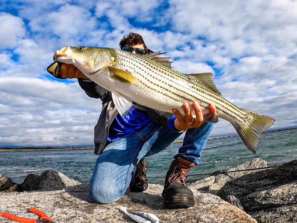 striped bass cape cod canal footwear