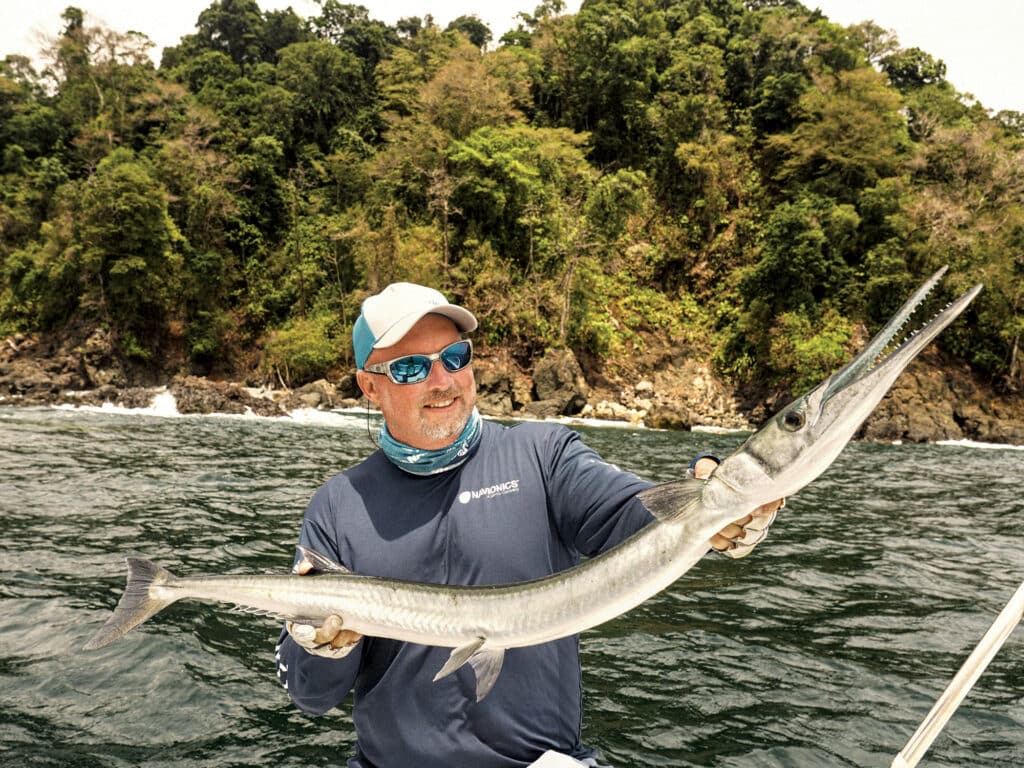 Pacific houndfish caught off Colombia