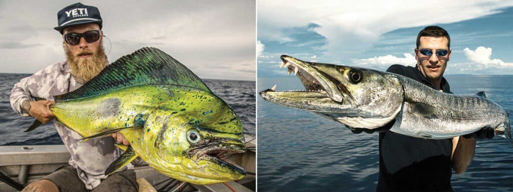 How to Capture Amazing Fish Pictures
