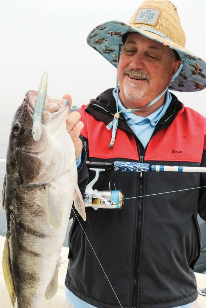 Barred sand bass caught on a tube bait