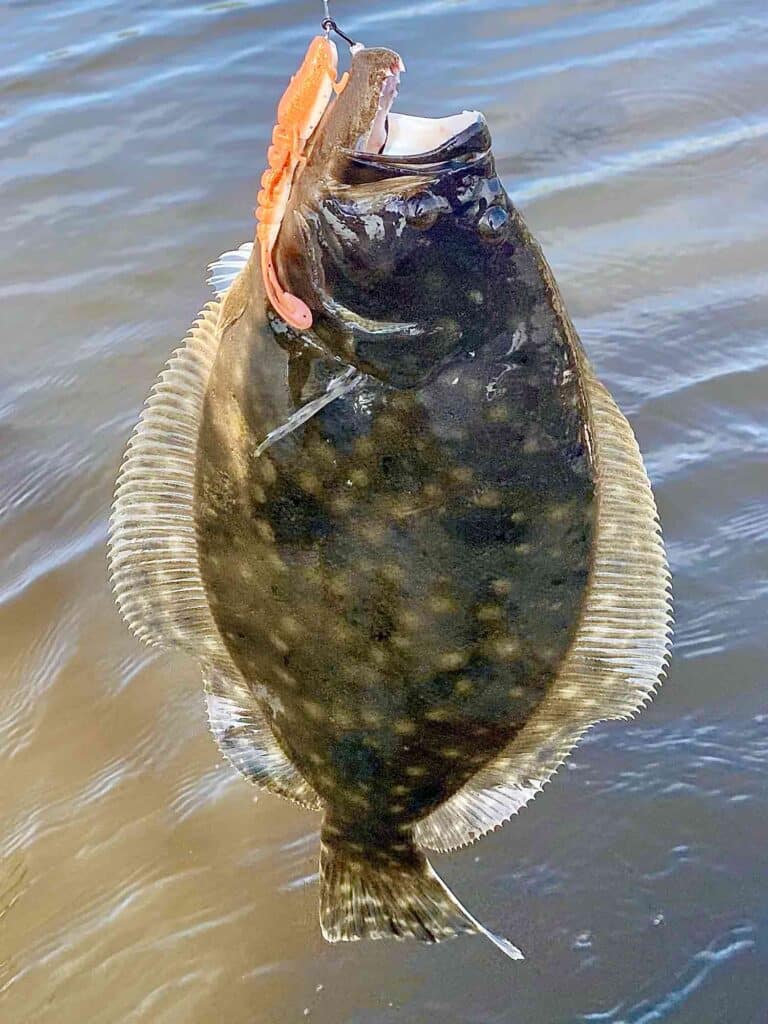 flounder fishing