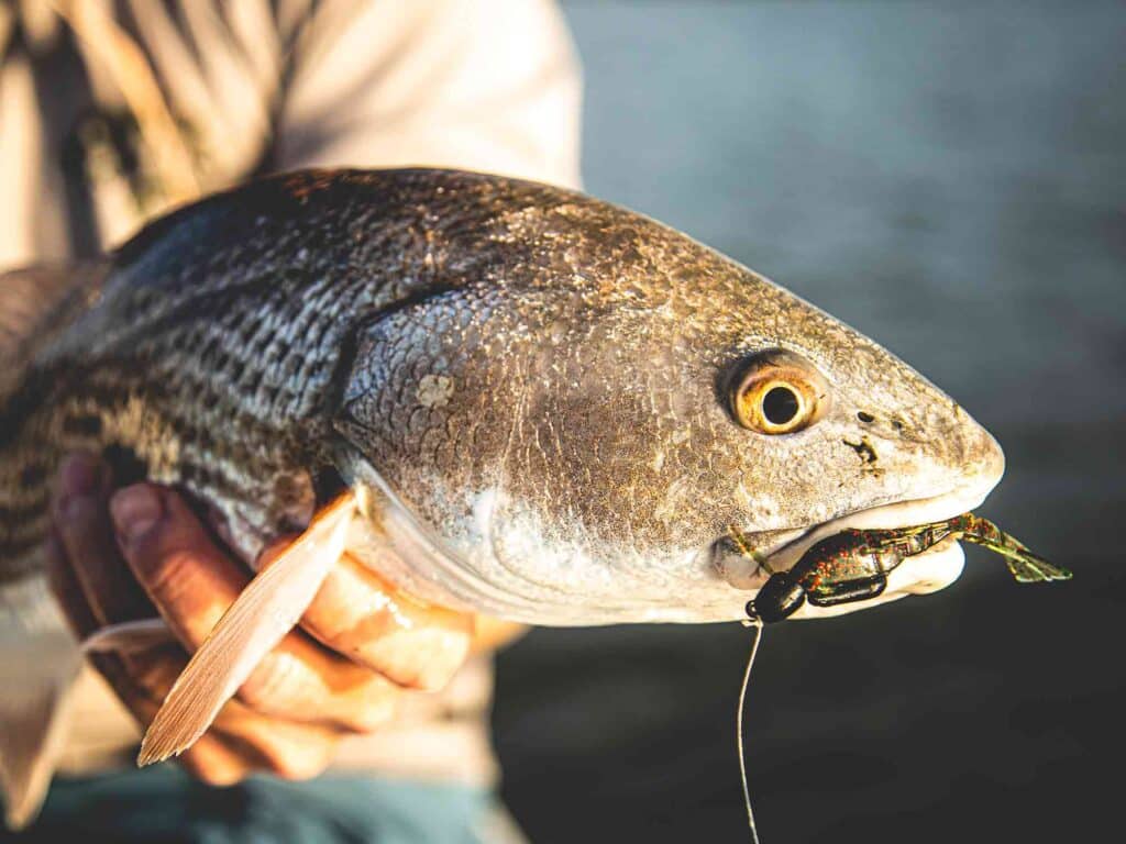 Florida Flats Fishing with Kayaks