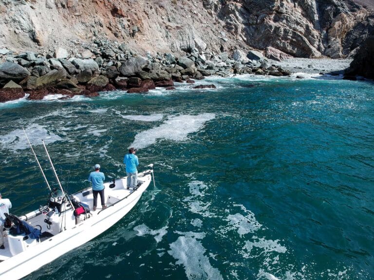 Fishing kelp beds in California