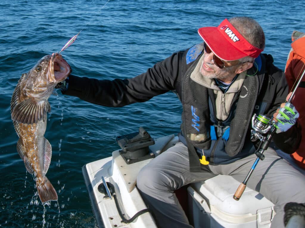 lingcod caught on metal jig