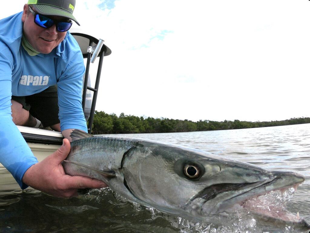 Barracuda in the Florida Keys