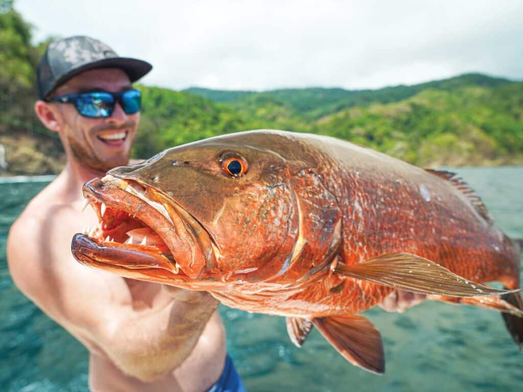 Cubera snapper caught jigging