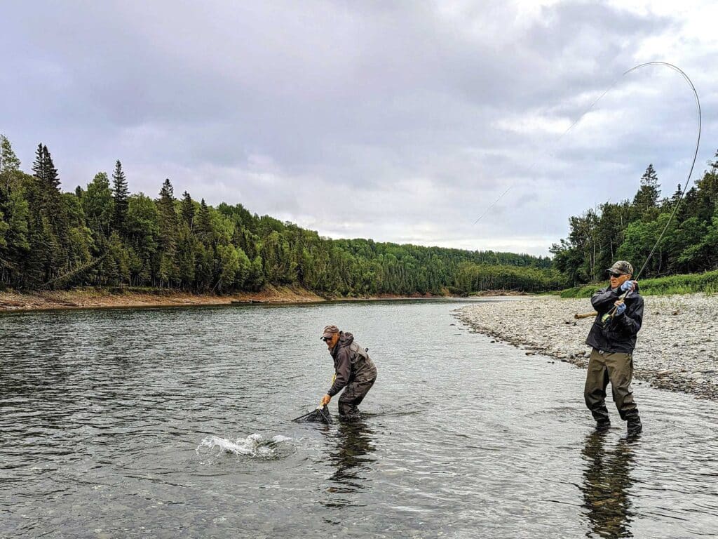 Fly fishing along a river