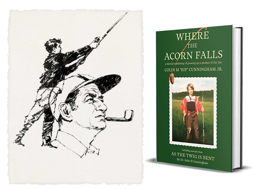 Cover of Where the Acorn Falls