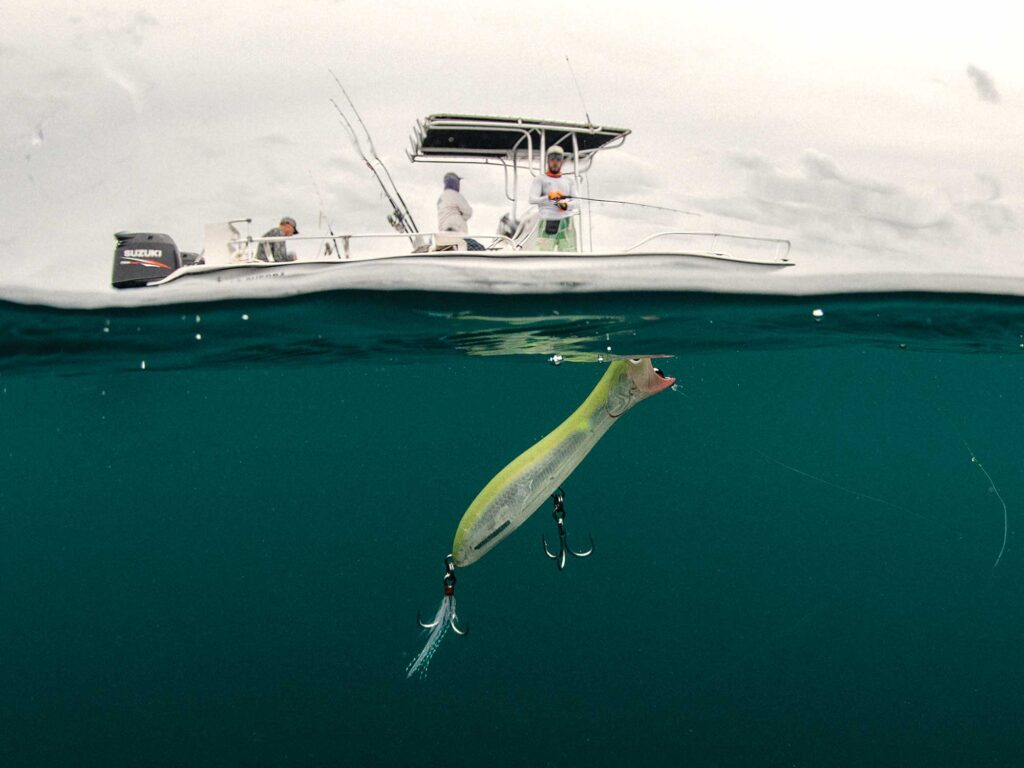 Topwater lure being fished