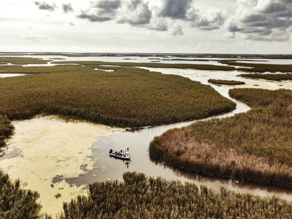 Targeting redfish in the marsh