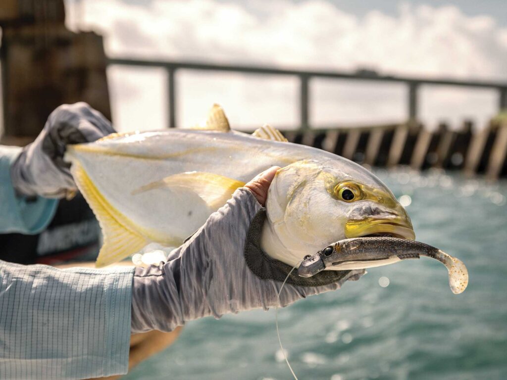 Yellow jack caught around Seven Mile Bridge