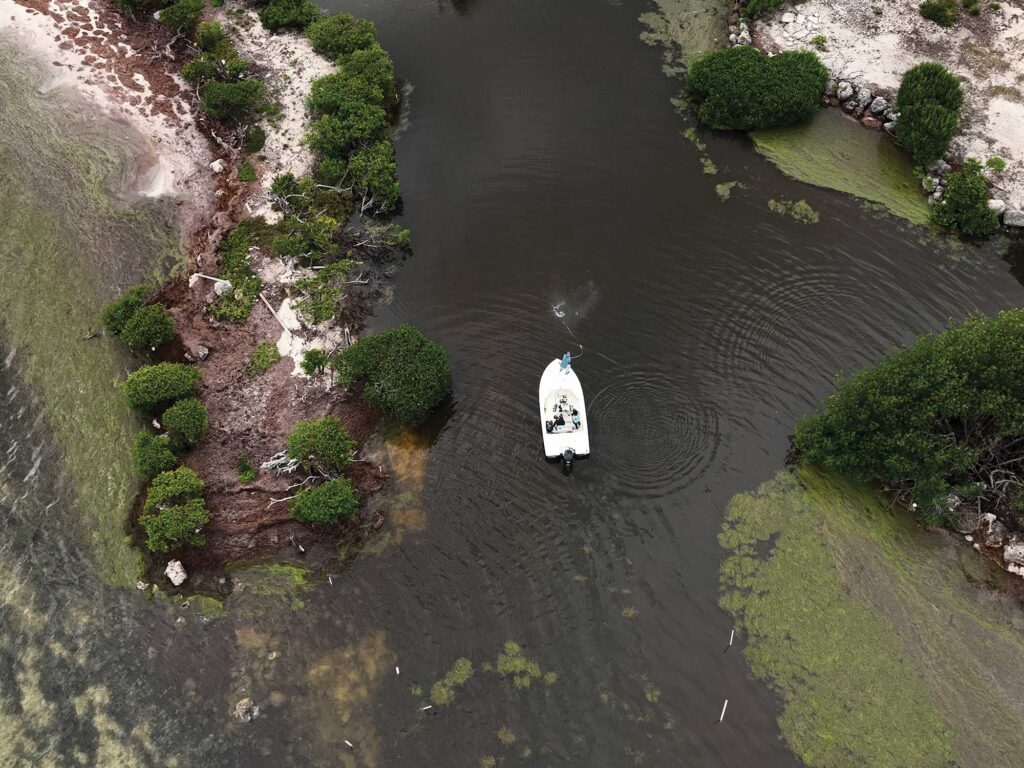 Fishing for tarpon in a canal