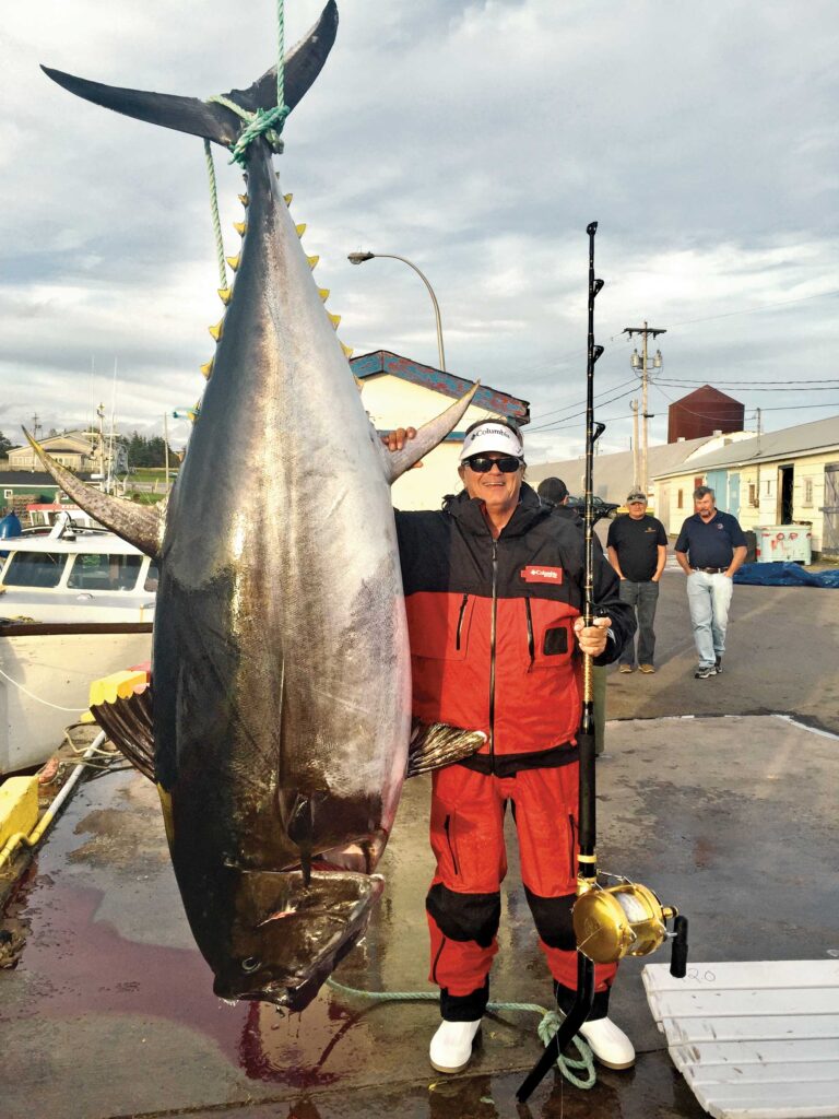 Giant bluefin tuna