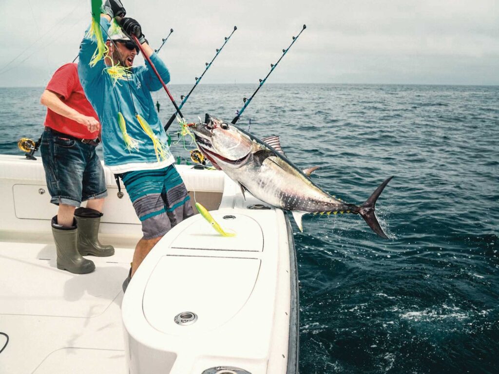 Using Side-Tracking Spreader Bars to Catch Large Tuna