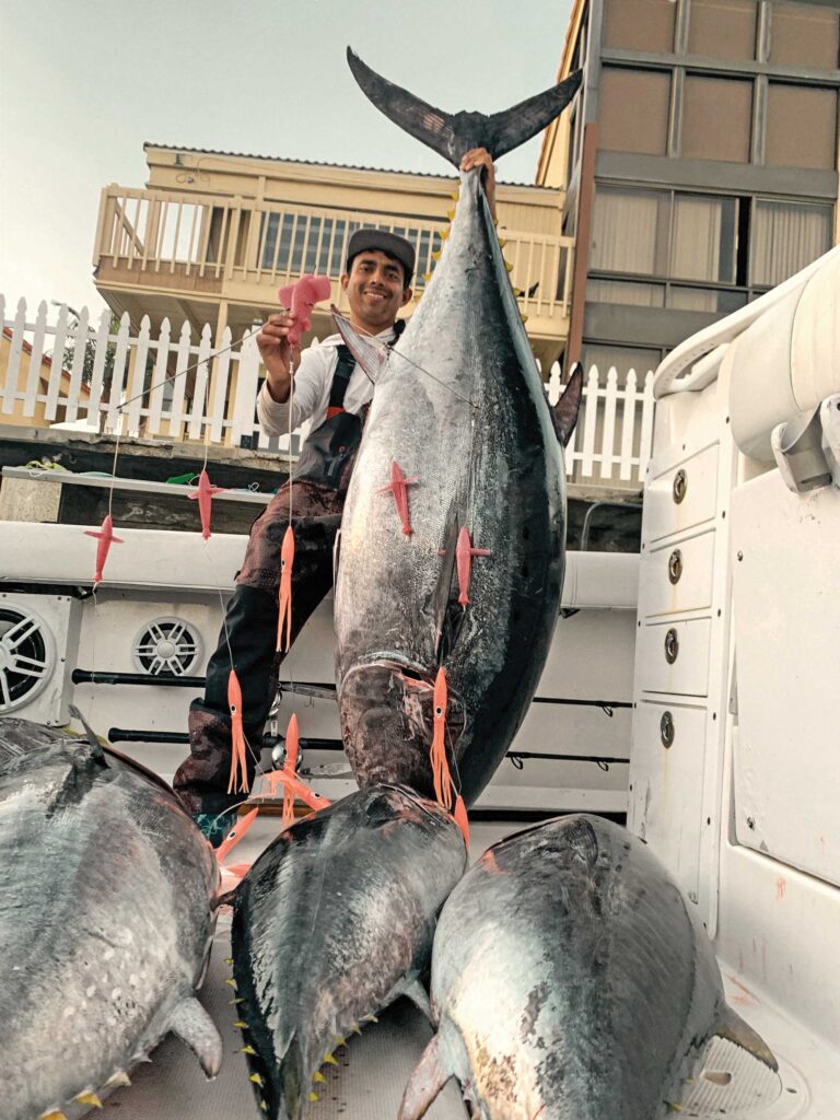 Multiple tuna caught using side-tracking spreader bars
