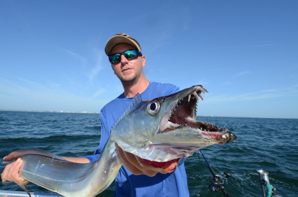 https://www.saltwatersportsman.com/uploads/2024/03/Ribbonfish-Capt-Stan-Gold-1024x678.jpg