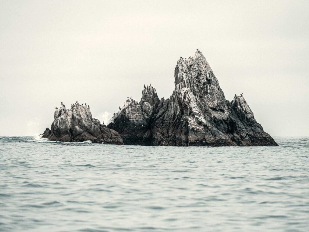 Rocky outcropping where calico bass congregate