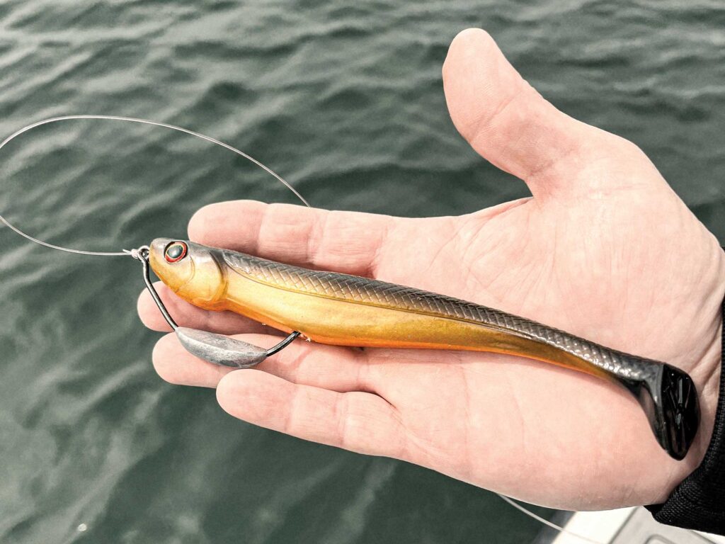 Weedless bait for calico bass fishing
