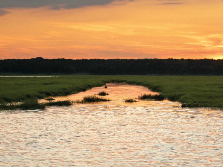 Sun setting on a New Jersey marsh
