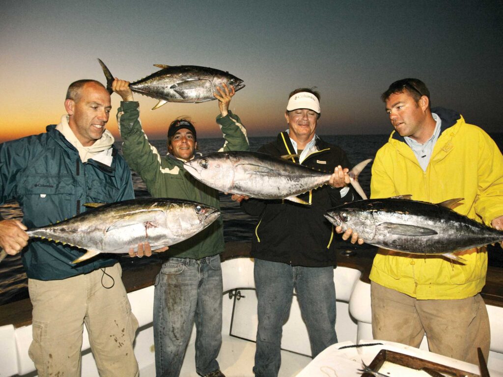 Multiple tuna on the boat