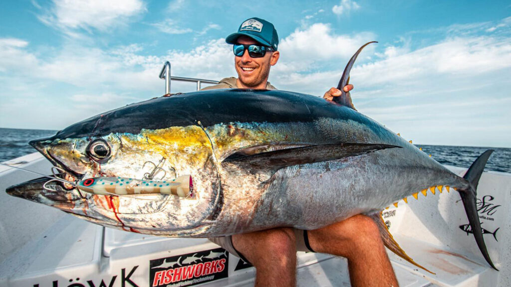 Large tuna caught using a popper