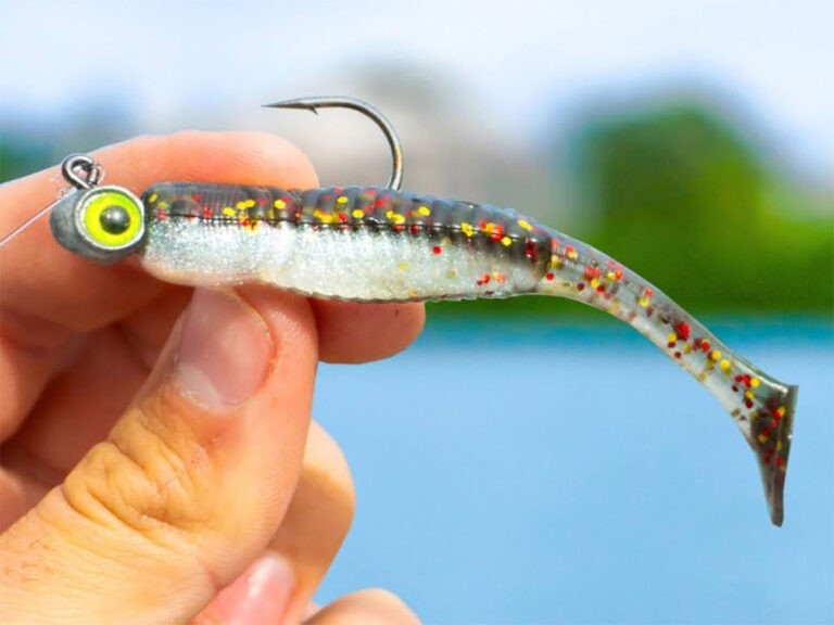 Top Soft Plastics for Inshore Saltwater Fishing Salt Water Sportsman