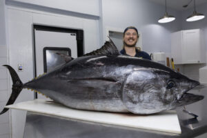 Fishmonger Reed Brand getting ready to fillet bluefin tuna