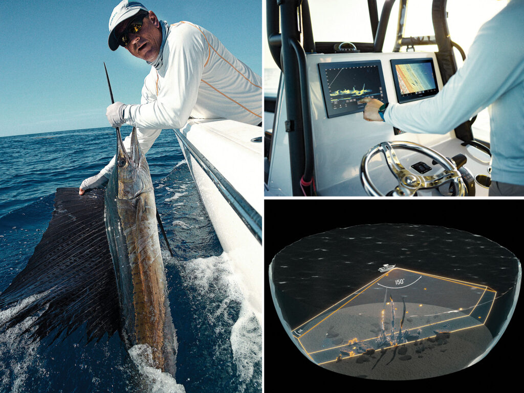 Using live sonar to catch fish