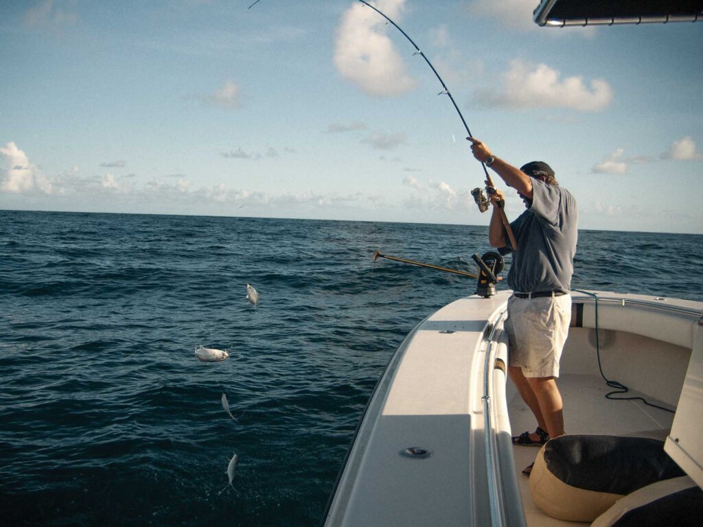 Sabiki rig for king mackerel