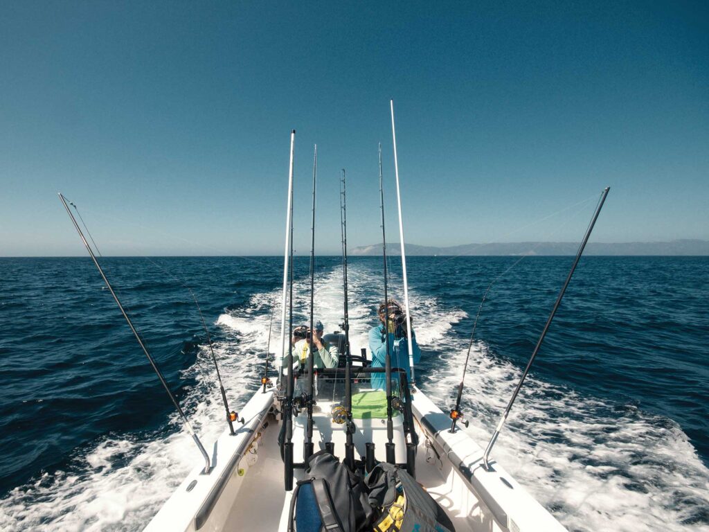 Anglers with binoculars looking for striped marlin