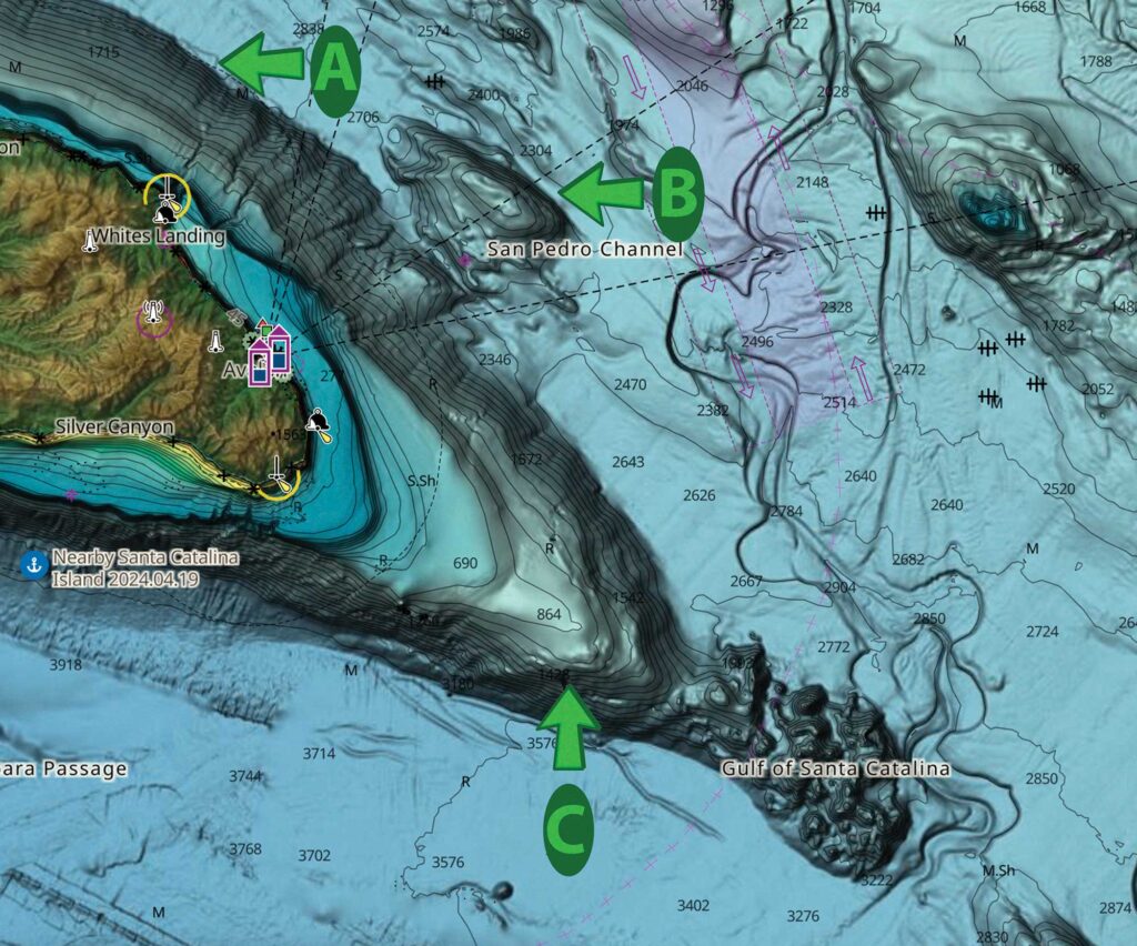 Chart showing striped marlin conditions