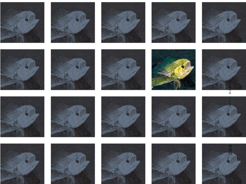 Protecting fish from overfishing