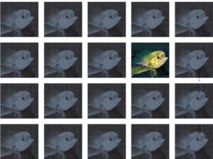 Protecting fish from overfishing