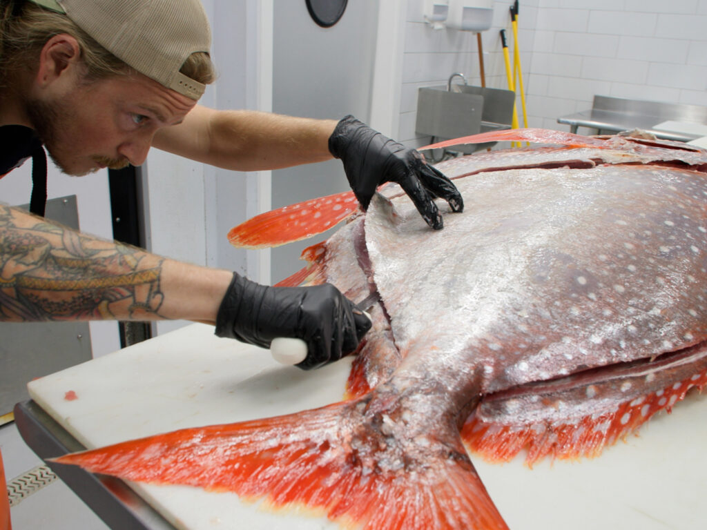 Removing the low loin of an opah.