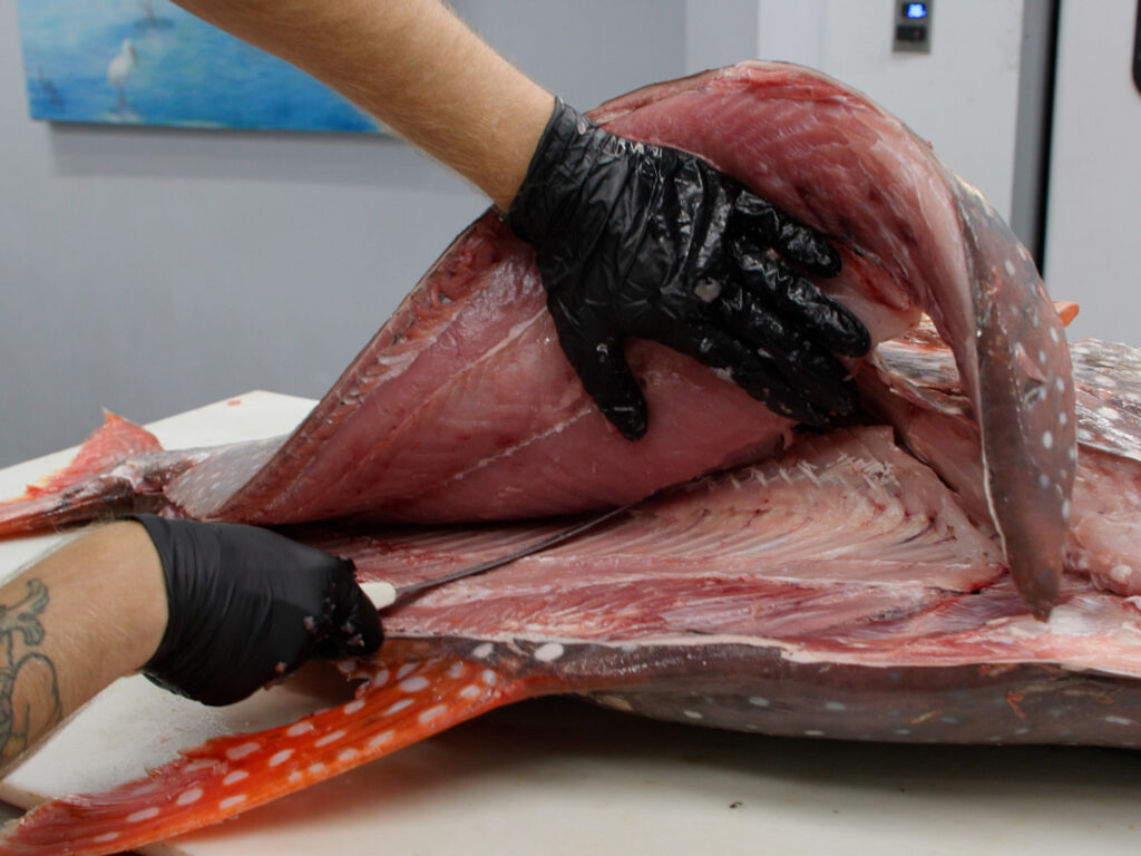 Cut over an opah's ribs.