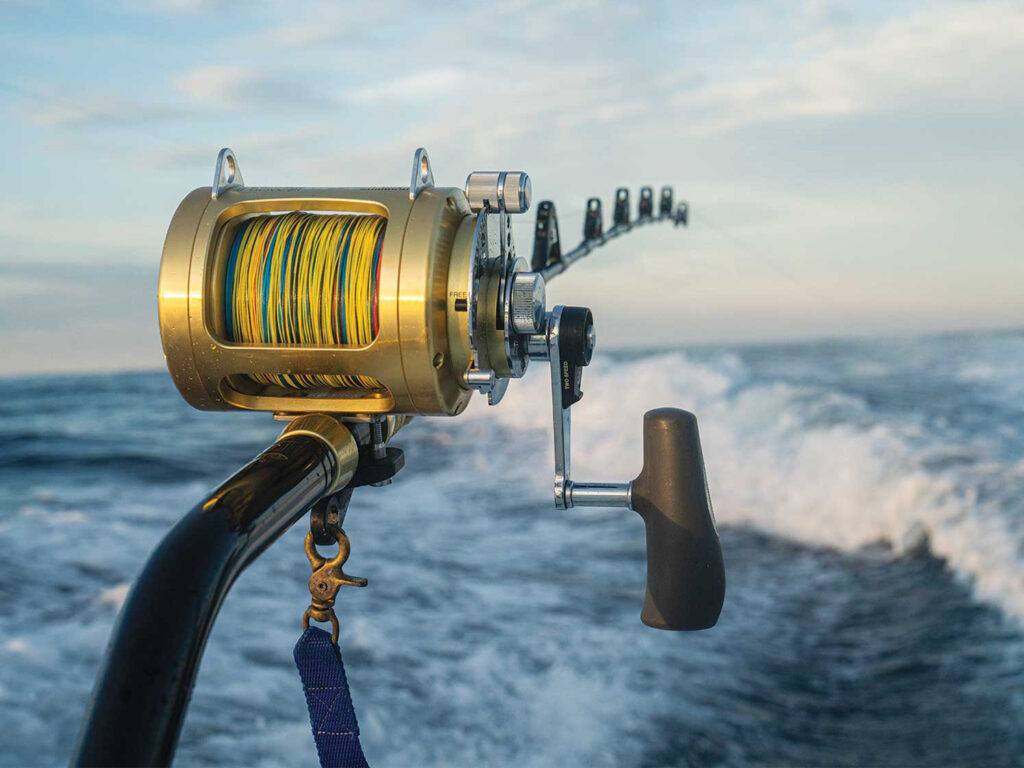 Shimano fishing reel