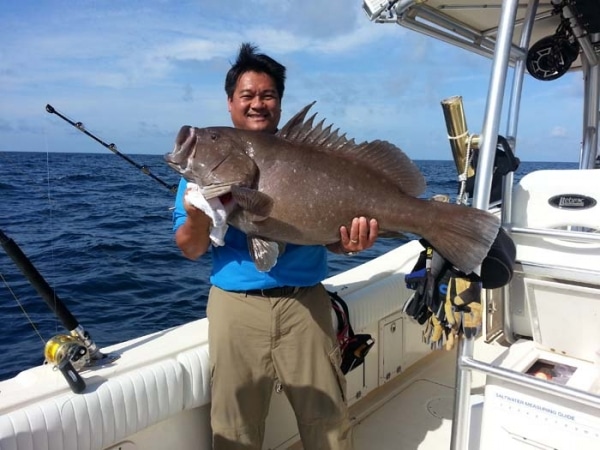 This is What a Baby Grouper Looks Like | Salt Water Sportsman