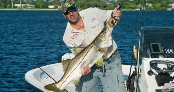 snook closure snook closure