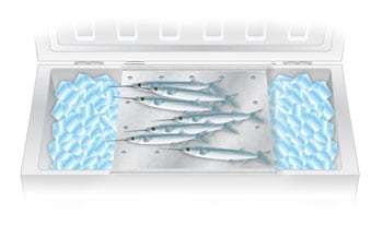 100-0710tips_bait.jpg