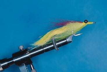 Tying the Mad Tom