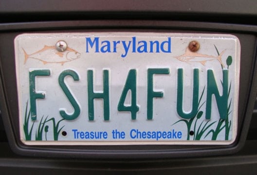 Reader License Plates